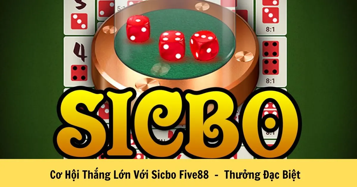 Cơ Hội Thắng Lớn Với Sicbo Five88 - Thưởng Đặc Biệt